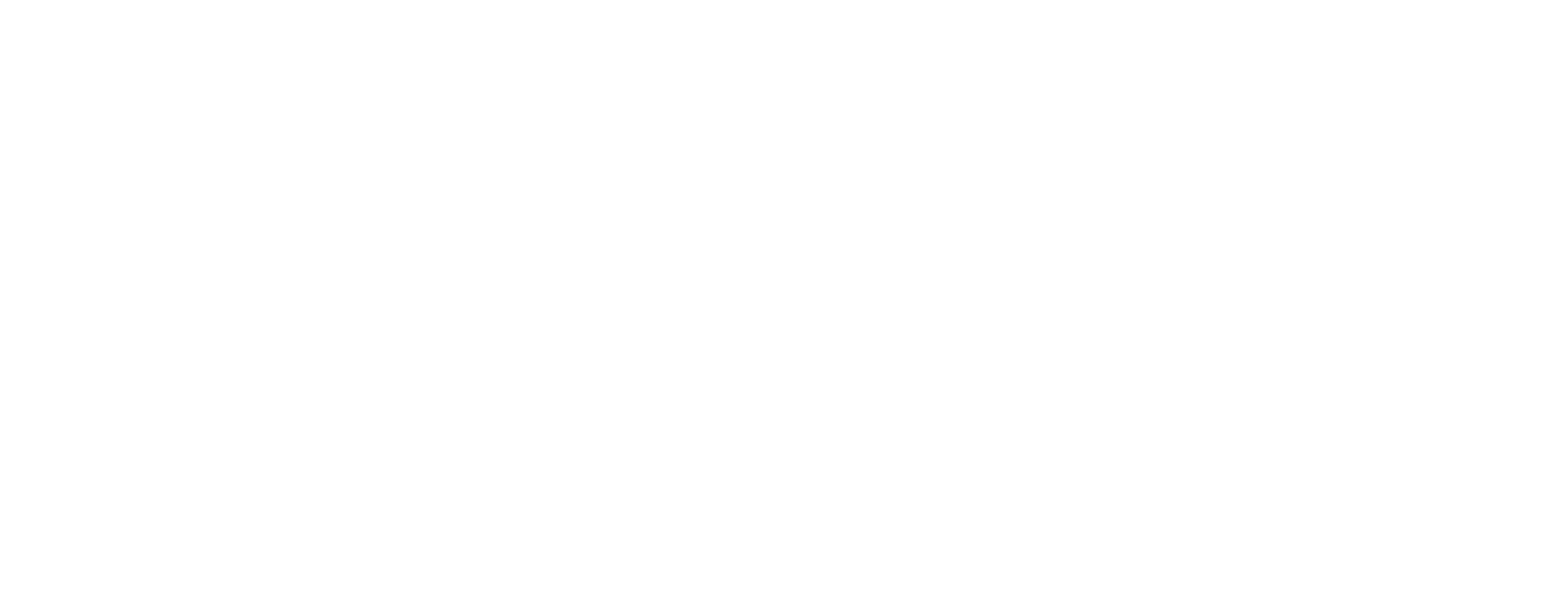 Zasnet